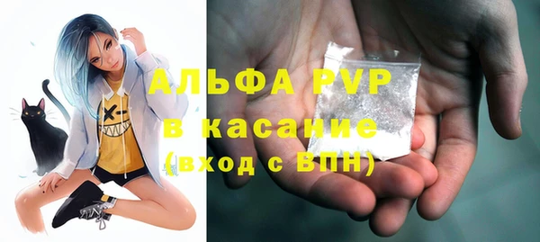 мет Алексин
