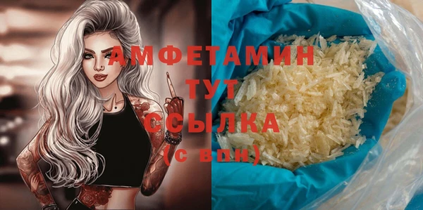 мет Алексин