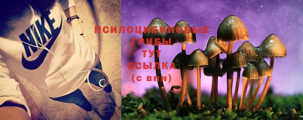 спиды Алзамай
