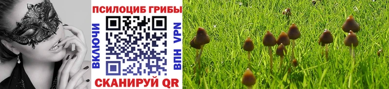 ОМГ ОМГ ONION  закладка  Лысьва  Галлюциногенные грибы Magic Shrooms 